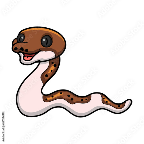 Cute pied reticulated python cartoon