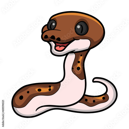 Cute pied reticulated python cartoon