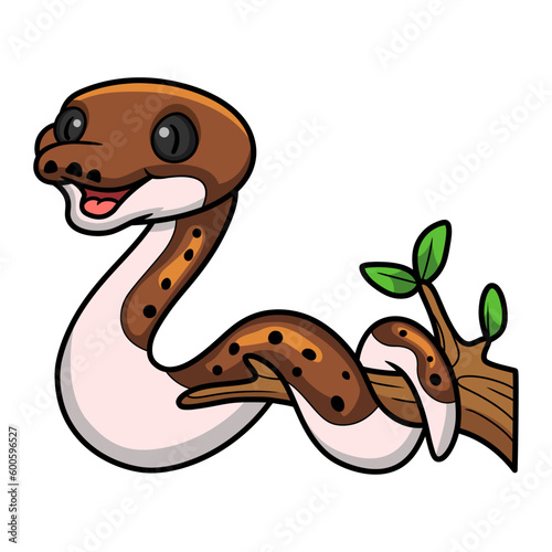Cute pied reticulated python cartoon on tree branch