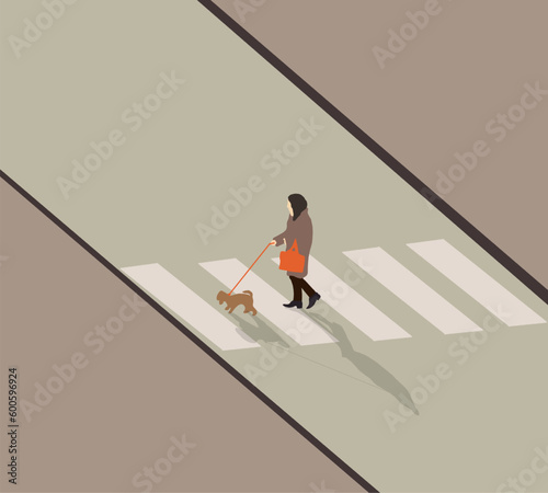 Woman crosses road at a pedestrian crossing with her dog in city park during holiday vacation. Outdoor activity concept