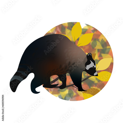 vector of a raccoon