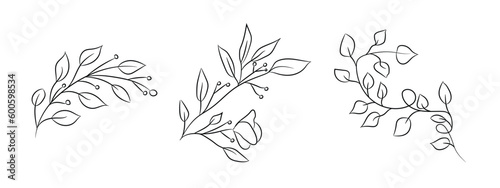 Hand drawn thin floral botanical line art. Trendy minimal elements of wild and garden plants, branches, leaves, flowers, herbs. Vector illustration for logo or tattoo, invitation save the date card photo