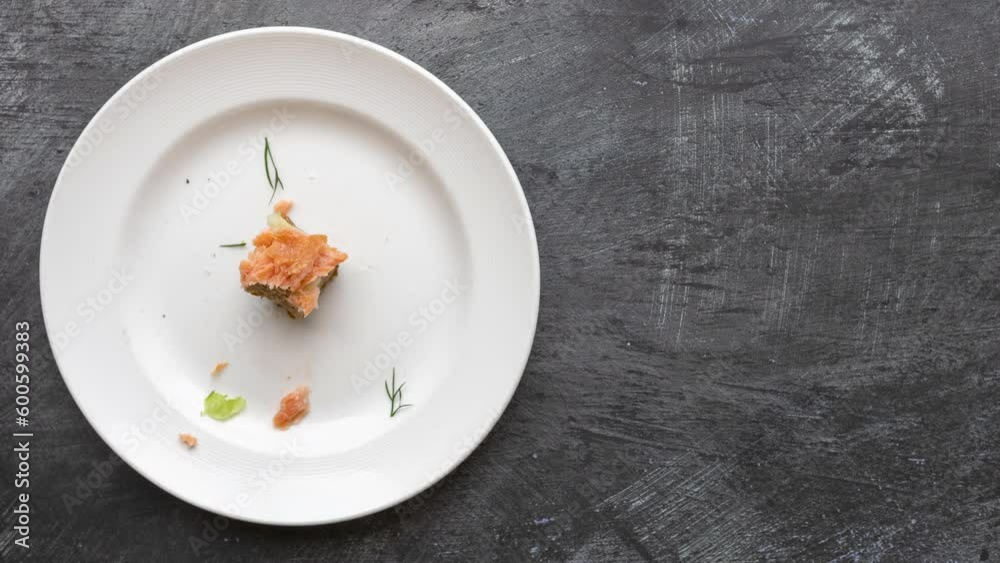 Stop Motion Animation of Eating Toast with Salmon and Vegetables
