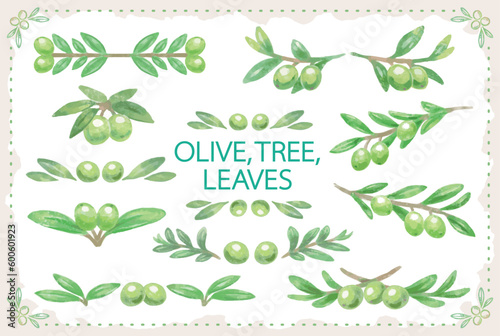オリーブ、実や葉の水彩風イラストのセット。ベクター素材。