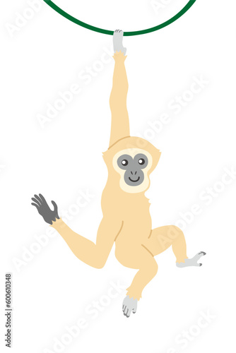テナガザル