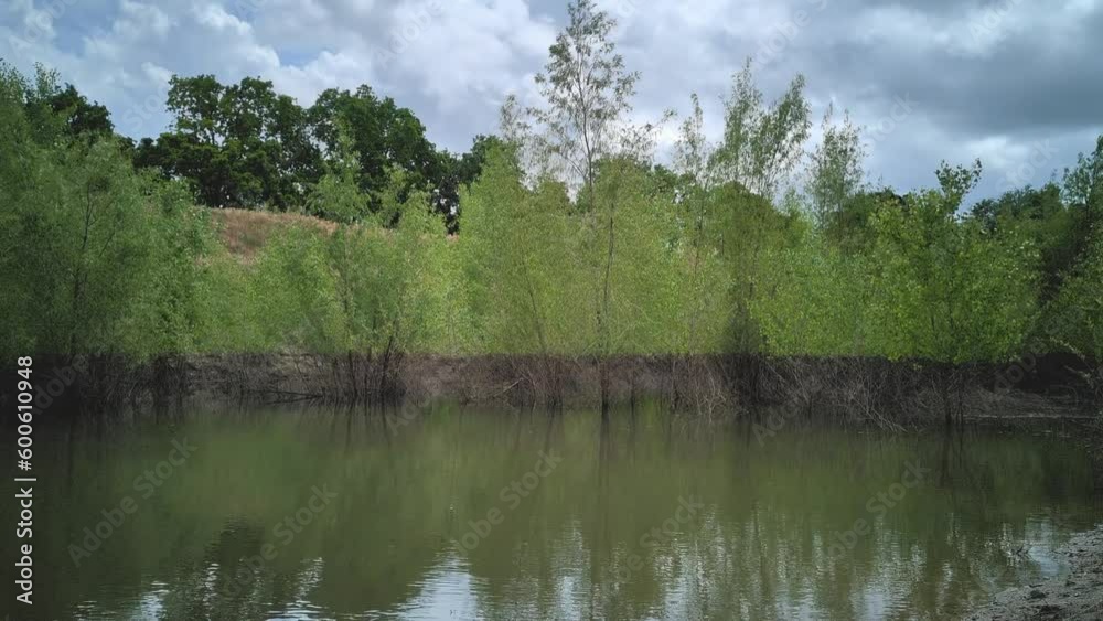 Trees growing in flooded water next to a levee 