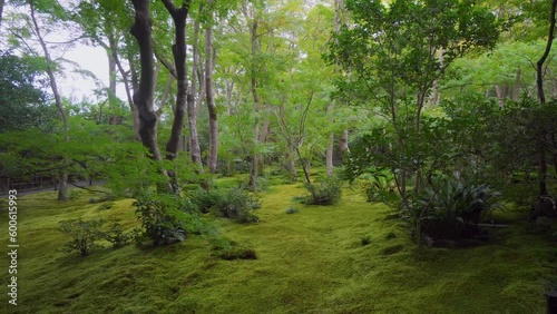 Many temples in Japan have a design based on the different types of mosses that are grown and used. They are generally in shady and well humid places. photo