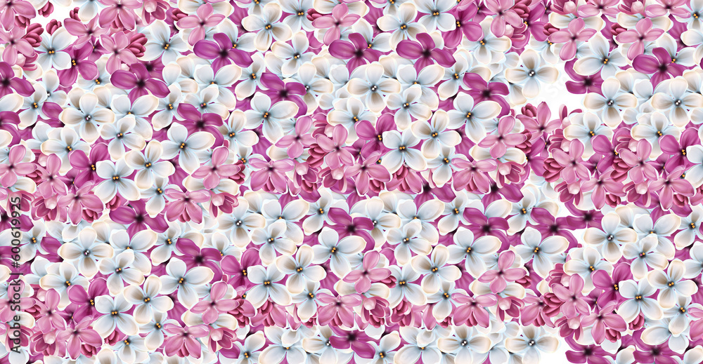 floral seamless pattern with pink and white lilac flowers on white background