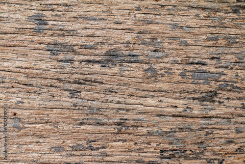Texture of dry wooden planks for background