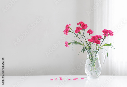 pink carnation in glass jug on white background