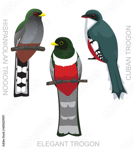Cute Bird Elegant Trogon Set Cartoon Vector