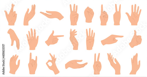 Hand Vector collection. Hand set. Hands poses. Female hand collection. pointing down. Top hands collection. trend hand set. White Finger. People hands. Group Finger Upside down. White Palm. Vector set
