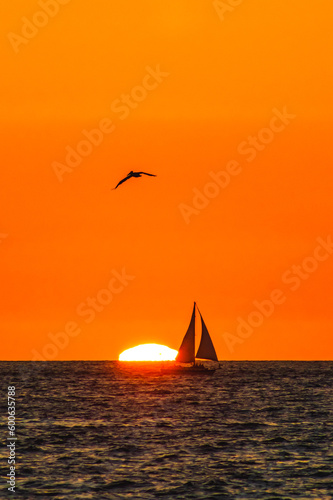 silhouette of sailboat and pelican flying at sunset with sun behind in puerto vallarta jalisco 