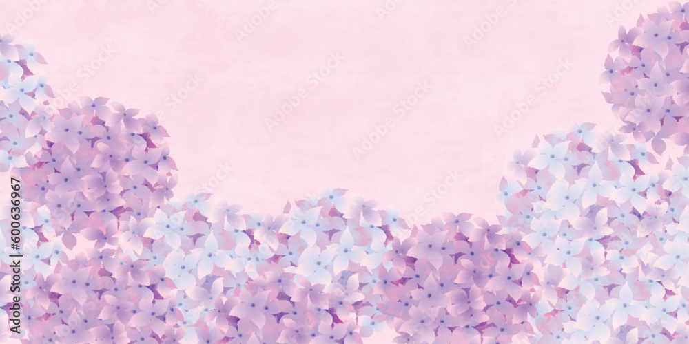 Fototapeta premium あじさい 梅雨 花 背景 