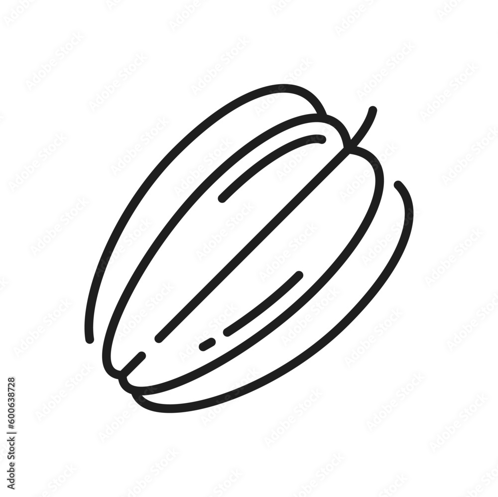 Carambola isolated cut star shape fruit line icon. Vector starfruit, tropical organic averrhoa carambola ripe asian dessert, star-apple, golden juicy fruit, exotic tropical food Carambola isolated cut star shape fruit line icon. Vector starfruit, tropical organic averrhoa carambola ripe asian dessert, star-apple, golden juicy fruit, exotic tropical food