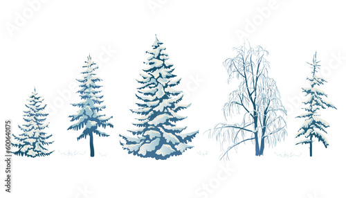 Realistic vector illustration of a spruce tree in the snow on a white background. Green fluffy pine isolated on a white background. Winter snow-covered trees. Elements for the Christmas scene.
