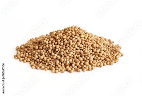 dry coriander seed spice isolated on white background. pile of dry coriander seed isolated. heap of coriander seed food isolated background         