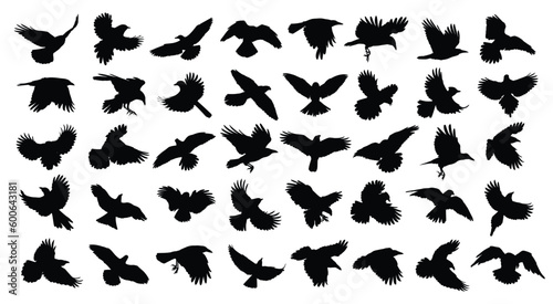 A big set of silhouettes birds of prey and seabirds in flight.
