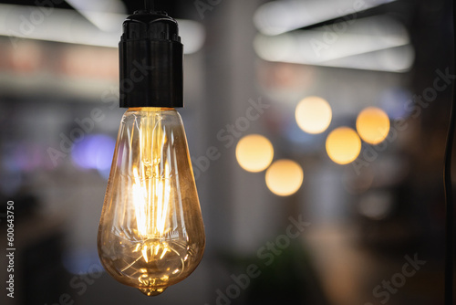 Vintage Edison lamp in warm color with filaments in the interior on a blurred background. © Roman