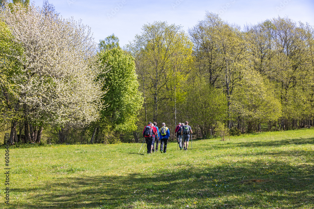 Group with hikers on a meadow a sunny spring day Group with hikers on a meadow a sunny spring day