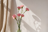 Carnation flowers bouquet in vase on neutral beige empty wall and linen curtain with aesthetic floral sunlight shadow background, spring or summer home interior decor