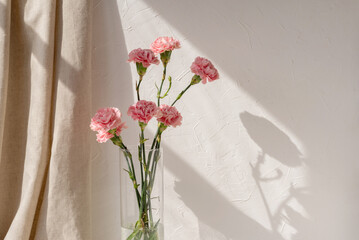 Carnation flowers bouquet in vase on neutral beige empty wall and linen curtain with aesthetic floral sunlight shadow background, spring or summer home interior decor