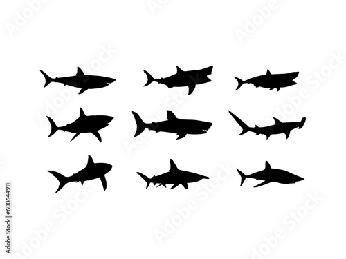 Shark silhouette vector. A set of shark silhouette vector illustrations. Collection of shark movement silhouette in various poses.