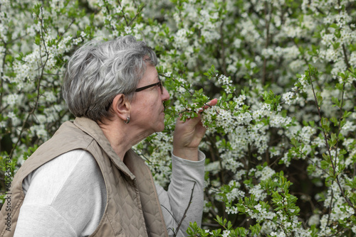 Side view of senior woman smelling flowers in blooming cherry tree garden, enjoying spring. Seasonal allergy concept.