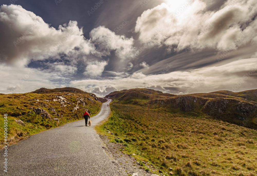 custom made wallpaper toronto digitalA man walking on a winding, lonely road with his pet. Irish landscape