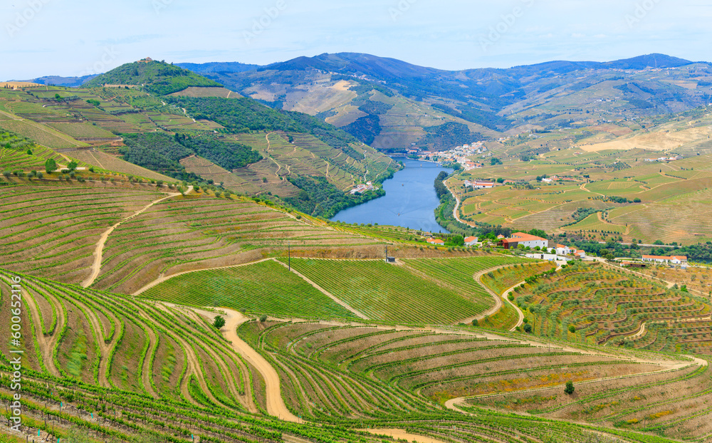 Douro vally, Vineyard terrace in Portugal