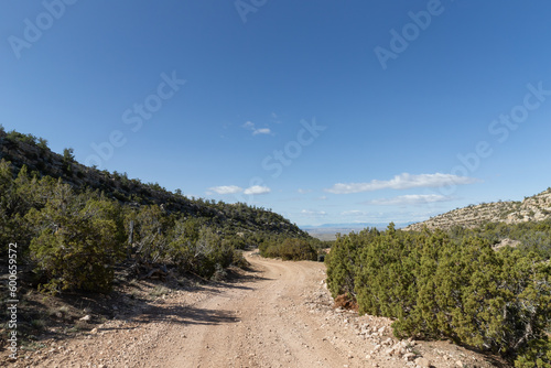 Secluded dirt trail road and scenic vista landscape in the Prior Mountains near the border of Wyoming and Montana