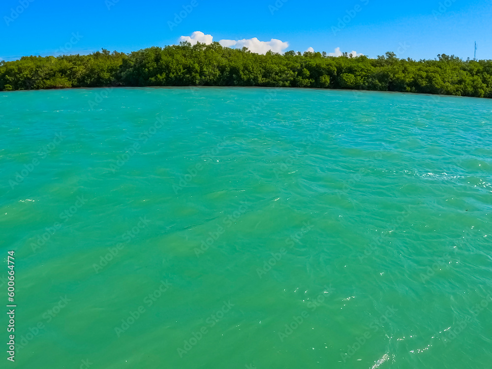 Florida Landscape