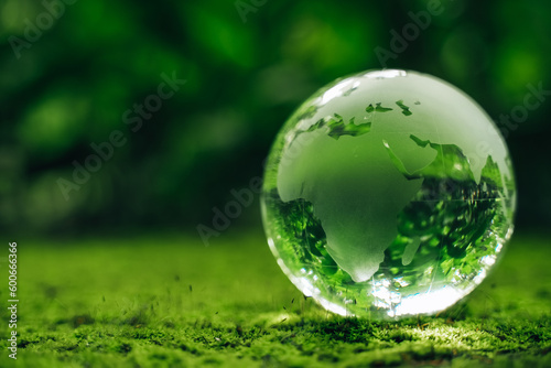 Globeglass in green grass forest with sunlight. Environment  save the earth  earth day and conservation.