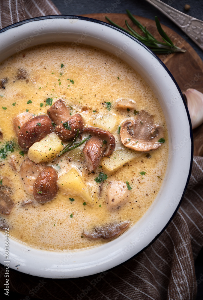 Creamy porcini mushroom soup in a rustic bowl