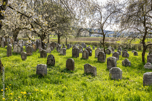 An old jewish cemetery at Hagenbach, Pretzfeld in Franconian Switzerland, Bavaria, Germany. photo