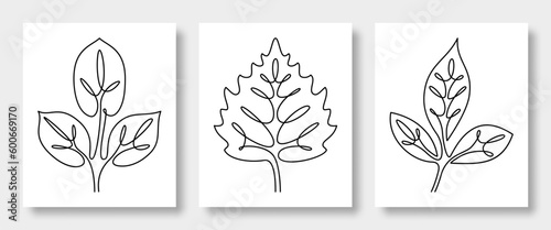 Continuous line drawing of vector leaves walnut, birch, ash. Vector illustration.