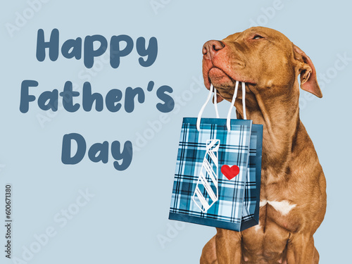 Happy Father's Day. Cute brown puppy and a gift bag. Close-up, indoors. Studio shot. Congratulations for family, loved ones, friends and colleagues. Pet care concept