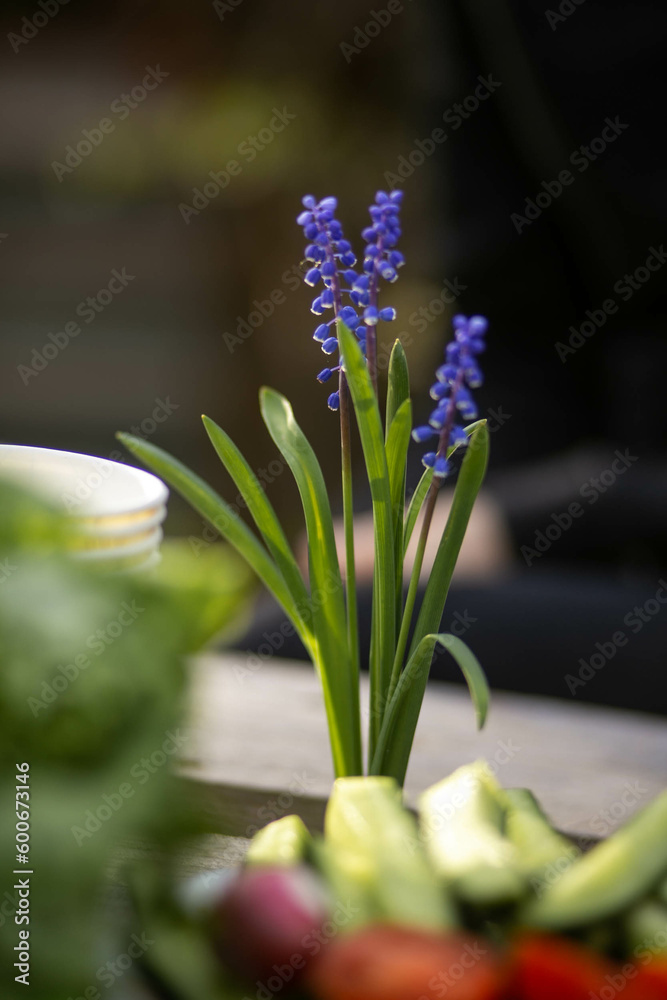 Fototapeta premium Portrait photo of flowers in the garden