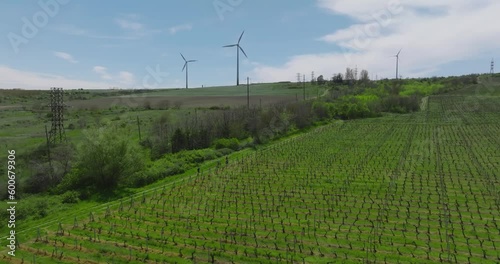 aerial view of  group of people running  in vineyards with rotating wind turbine generators in green field with blue sky photo