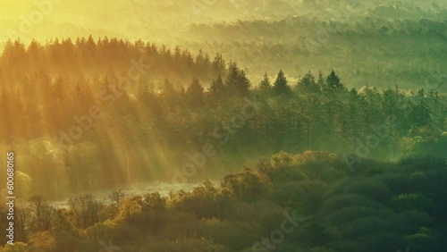 Ethereal sunrise scene as golden rays break through forest trees. Aerial photo