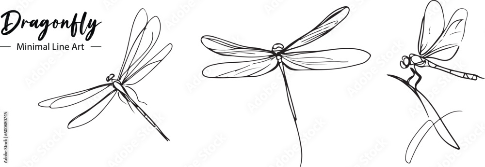 A dragonfly line art vector drawing 