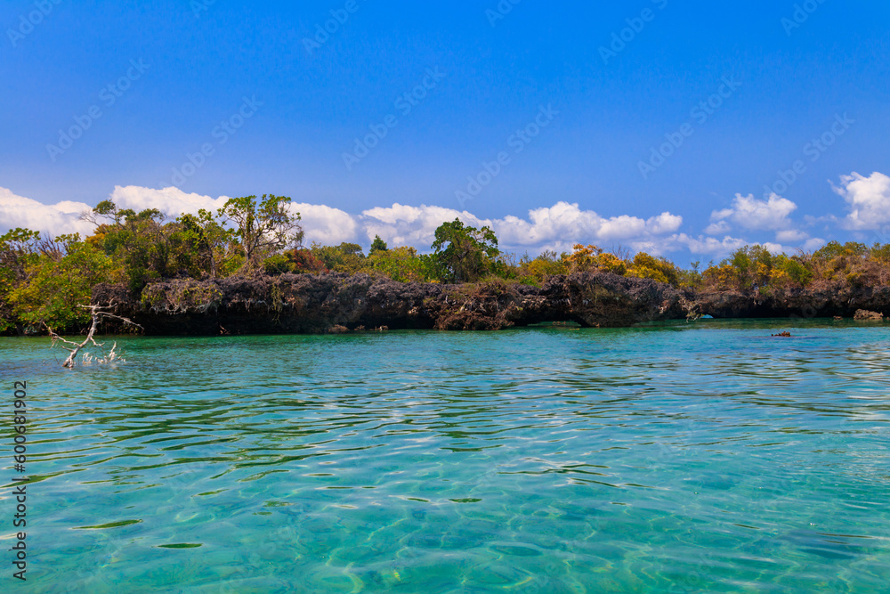 Mangroves in the lagoon of Kwale island. This is a small islet in the south of Zanzibar, Tanzania