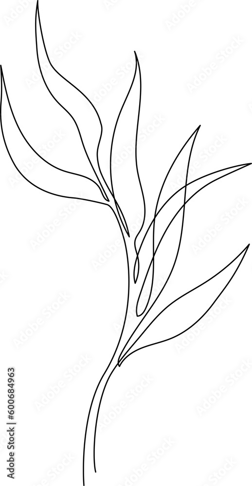 Obraz premium One line drawing of leaves, branch, flowers. Continuous line drawing of eucalyptus leaves. Floral single line poster. Contour drawing of plant. Abstract line art branch in modern linear style