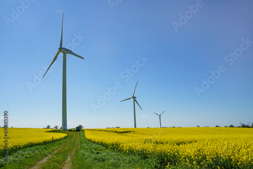 wind turbine on a field