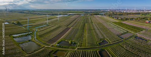 Panorama view over fruit growing area with wind turbines. Landscape with wind turbines and blooming fruit gardens. Agricultural fruit plantaion with wind turbines near city and harbour. photo