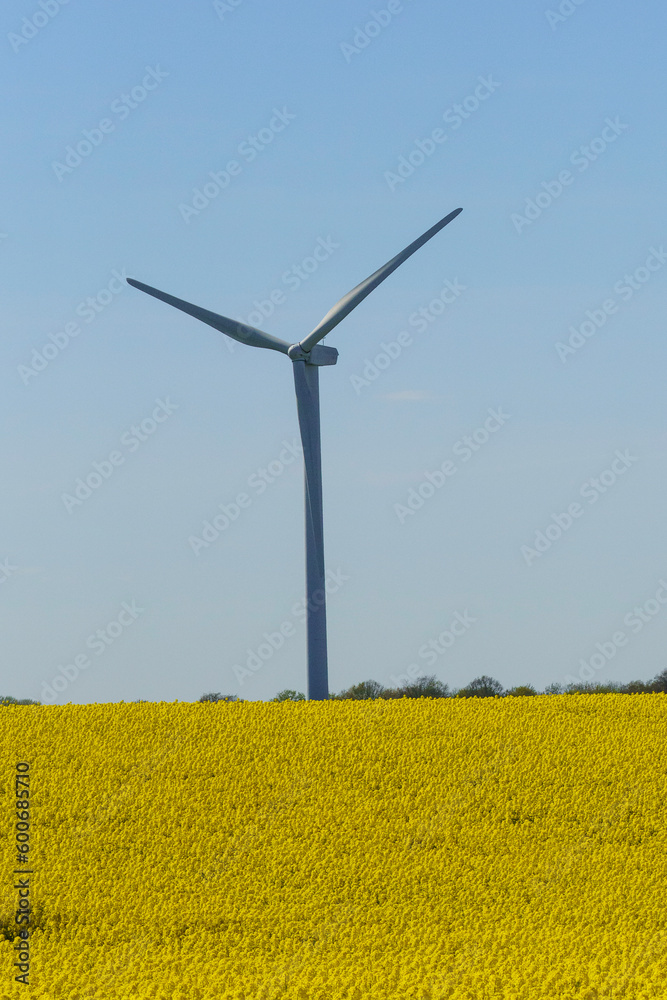 wind turbine in field wind turbine in field