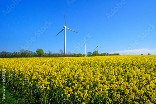 wind turbines in the field © Hans Steen-Kiel