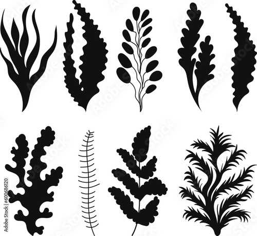 set seaweed silhouette isolated vector