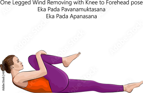 Young woman practicing yoga exercise, doing One Legged Wind Removing with Knee to Forehead pose. Eka Pada Pavanamuktasana. Eka Pada Apanasana. Vector illustration isolated on white background