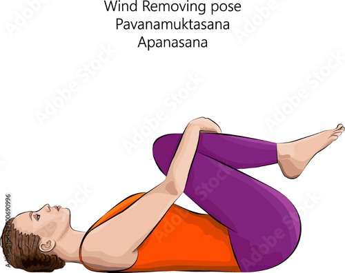 Young woman practicing yoga exercise, doing Wind Removing or Wind Relieving pose.Pavanamuktasana. Apanasana. Supine and Forward Bend. Beginner. Vector illustration isolated on white background.